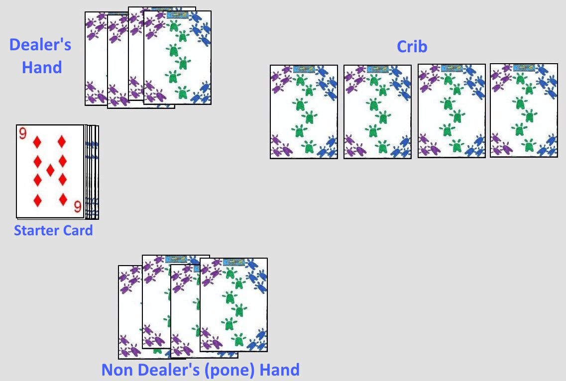 Starting layout for the card game Cribbage